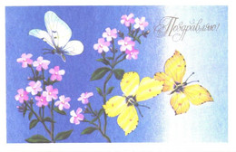 T.Snapiro:Butterflies, 1987 - Papillons