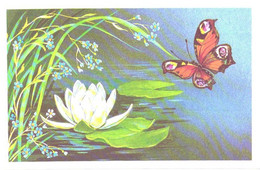 G.Lunde:Butterfly And Waterlily, 1989 - Papillons