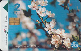 Lettland - LAT-C-31 - Spring - Flowers - Lettonie