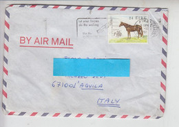 IRLANDA  1981  - Unificato  456 - Fauna - Cavallo - Mammiferi - Storia Postale