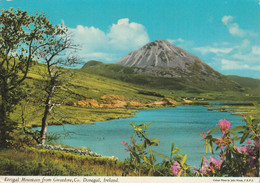 Donegal - Errigal Mountain From Gweedore , Co. - Donegal