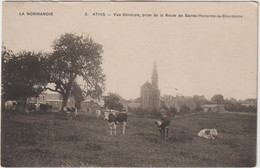 Orne : Env. De Flers : ATHIS  De L ' ORNE :  Rte De  Sainte  Honorine  La  Chardonne , Vache - Athis De L'Orne