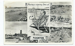 Devon Postcard Paignton Multiview Posted 1956 Having A Ripping Time - Paignton