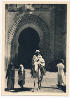 CPSM MAROC Un Muletier à Fès El Bali Photo Maurice RICHARD - Fez