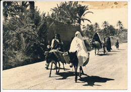 CPSM MAROC ERFOUD Groupe De Femmes Se Rendant Au Souk Photo Itah Erfoud - Sonstige & Ohne Zuordnung