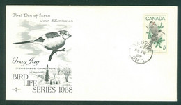 Oiseau, Geai Gris / Bird, Gray Jays; Timbre Scott # 478 Stamp; Pli Premier Jour / First Day Cover (6522) - Lettres & Documents