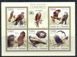 Comoro Is 2009 Birds, Birds Of Prey, Eagles MS MUH - Comores (1975-...)