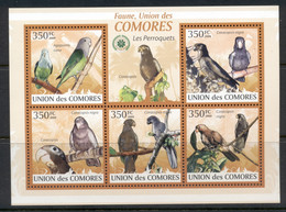 Comoro Is 2009 Birds, Parrots & Parakeets MS MUH - Comores (1975-...)