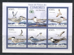 Comoro Is 2009 Birds, Terns MS MUH - Comores (1975-...)