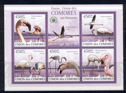 Comoro Is 2009 Birds, Flamingos MS MUH - Comores (1975-...)