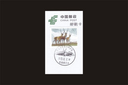 CHINA 2003-12 Tibetan Antelopes WITH QINGHAI HOH XIL VIEWS PMK - Sonstige & Ohne Zuordnung