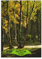 Delcampe - Groeten Van Texel - Bos, Zandpad - (Nederland/Holland) - (L 3339) - Texel