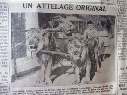 1935 L'AMI DU PEUPLE: Attelage De Lions ; Admiration Ardente Des Femmes Italiennes Pour Mussolini Et Les Sanctions ; Etc - Algemene Informatie