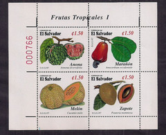 El Salvador Bloque Les Fruits Tropicaux - Fruits