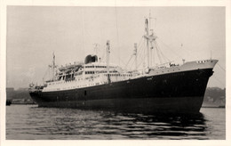 TAHITIEN * Carte Photo * Bateau Cargo Paquebot Commerce Marine Marchande ? Compagnie Messageries Maritimes MM - Commerce