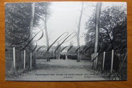 Callenelle. Pensionnat Des Dames De Saint-Maur L'Avenue - Peruwelz