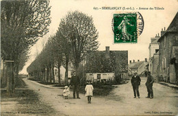 Semblançay * Avenue Des Tilleuls * Villageois - Semblançay