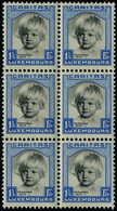 Neuf Sans Charnière N° 234/38, La Série Caritas 1931, Blocs De 6, TB - Autres & Non Classés