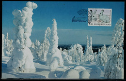 FINLAND 1997 SNOW HARE MAXIMUM CARDS MI No 1380 VF!! - Cartes-maximum (CM)