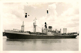 ENUGU PALM * Carte Photo * Bateau Cargo Paquebot Commerce Marine Marchande ? Compagnie Société Palm Line - Handel