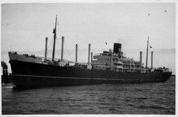 DORSET * Carte Photo * Bateau Cargo Paquebot Commerce Marine Marchande ? Compagnie Société Federal Steam Navigation - Commerce