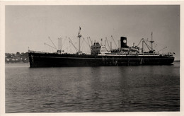 DUQUESA * Carte Photo * Bateau Cargo Paquebot Commerce Marine Marchande ? Compagnie Société Furness Houlder - Commerce