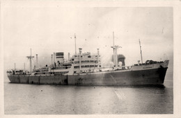 SILVEROAK * Carte Photo * Bateau Cargo Paquebot Commerce Marine Marchande ? Compagnie Maritime Société Silver Line - Cargos