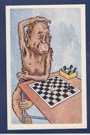 CPA échecs Chess Singe Monkey Position Humaine Non Circulé - Monos