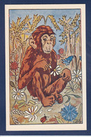 CPA Singe Monkey Position Humaine Non Circulé Coccinelle - Apen