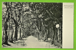 ALLEMAGNE / SCHLANGENBAD / NASSAUER ALLEE ..... Carte Vierge - Schlangenbad