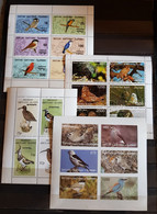 WW BIRDS 4 SHEETS PERFORED &IMPERFORED MNH - Autres