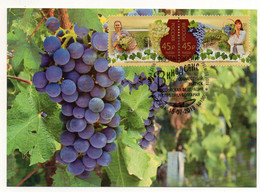 MAXIMUM CARD - CARTE MAXIMUM - RUSSIE - RUSSIA - 2019 - VIN - OENOLOGIE - WINE - WINE MAKING - VIGNE - WINEYARD - - Maximumkaarten