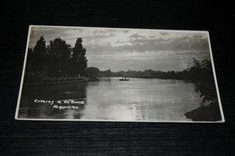 30369-                 SHEPPERTON, EVENING ON THE THAMES - Middlesex