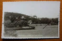 Neupont Sur Lesse. Les Fonds De Lesse. Riviere Wellin.  Carte Photo MOSA - Wellin