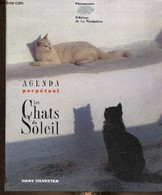 Agenda Perpétuel. Les Chats Du Soleil - Silvester Hans - 1995 - Blanco Agenda