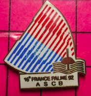 917 Pin's Pins / Beau Et Rare / THEME : SPORTS / NATATION AVEC PALMES FRANCE 92 ASCB - Nuoto