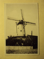 059 - DEERLIJK - DE MOLEN - ZIE 2 FOTO'S - Deerlijk