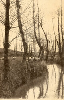 POLIGNY UN PAYSAGE MOUTON - Poligny