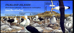 Falkland Islands 2003 Black-browed Albatross MS, MNH, SG 971 - Falkland