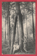 Feluy-Arquennes - L'arbre Aux Deux Jambes - Bois D'Arpes ... Personnages  - 1914 ( Voir Verso ) - Seneffe