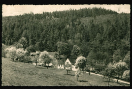 DDR Kleinformat AK Um 1963 Blick Zur Naupoldsmühle Bei Eisenberg In Thüringen - Eisenberg