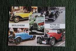 MOLSHEIM - Patrie Du PUR SANG : BUGATTI. - Molsheim