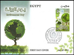 EGYPT 2012 FDC / FIRST DAY COVER ENVIRONMENT DAY UNEP - Lettres & Documents