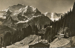 Real Photo Murren  Bahn Train - Mürren