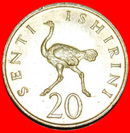* BIRD (1966-1984): TANZANIA ★ 20 SENTI 1966! LOW START ★ NO RESERVE! - Tansania