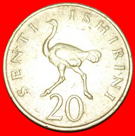 * BIRD (1966-1984): TANZANIA ★ 20 SENTI 1976! LOW START ★ NO RESERVE! - Tanzania