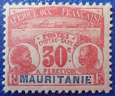 R2269/176 - 1906 - COLONIES FR. - MAURITANIE - TIMBRE TAXE - N°13 NEUF* - Unused Stamps