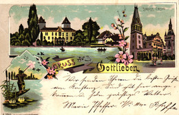 Gottlieben, Farb-Litho Mit Jäger, Jagd, 1901 Von Konstanz Nach Hall / Württemberg Versandt - Gottlieben