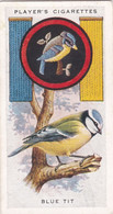 Boy Scout & Girl Guide (Patrol Signs + Emblems) 1933, Players Original Cigarette Card, 48 Blue Tit - Player's