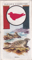 Boy Scout & Girl Guide (Patrol Signs + Emblems) 1933, Players Original Cigarette Card, 19 Seal - Player's